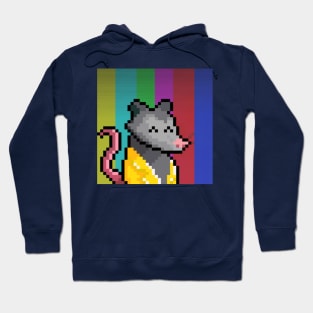 Possum Posse Hoodie